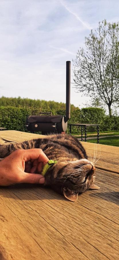 Vakantiewoning Victors Hof Tot 4 Pers Lievegem Esterno foto