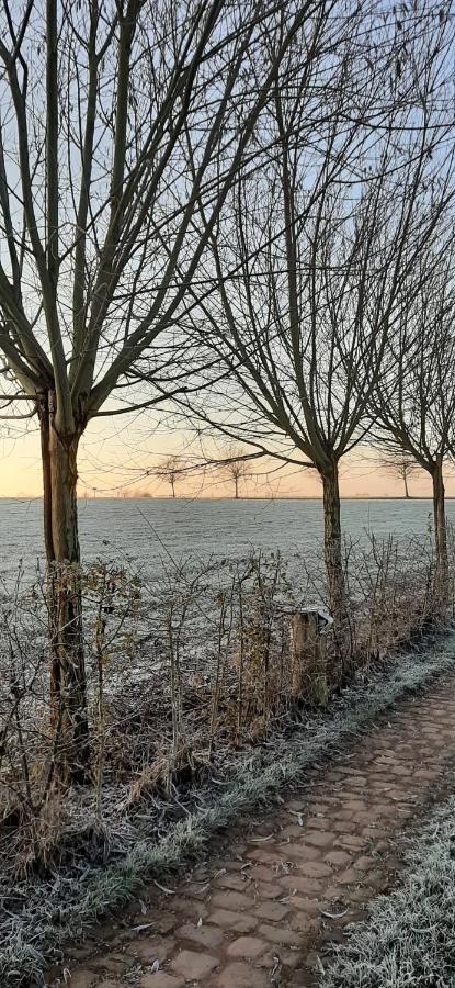Vakantiewoning Victors Hof Tot 4 Pers Lievegem Esterno foto