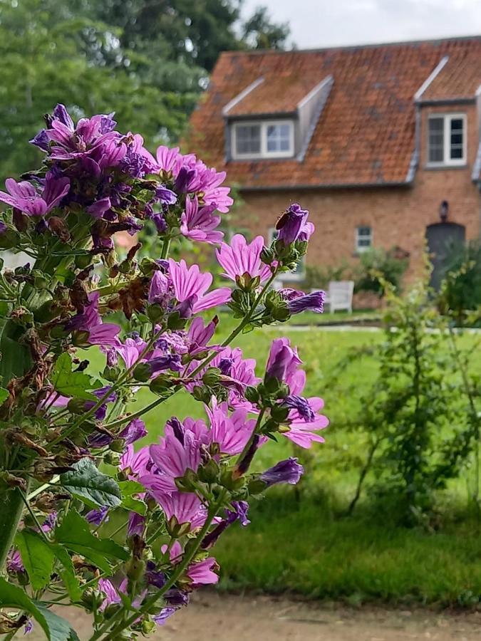 Vakantiewoning Victors Hof Tot 4 Pers Lievegem Esterno foto
